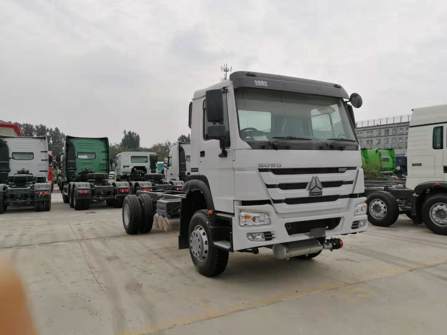 Vrachtwagen van de Kleuren4x2 Euro Zware Lading 2 van HOWO de Witte met 290 HP Motor en ZF8118-Leiding