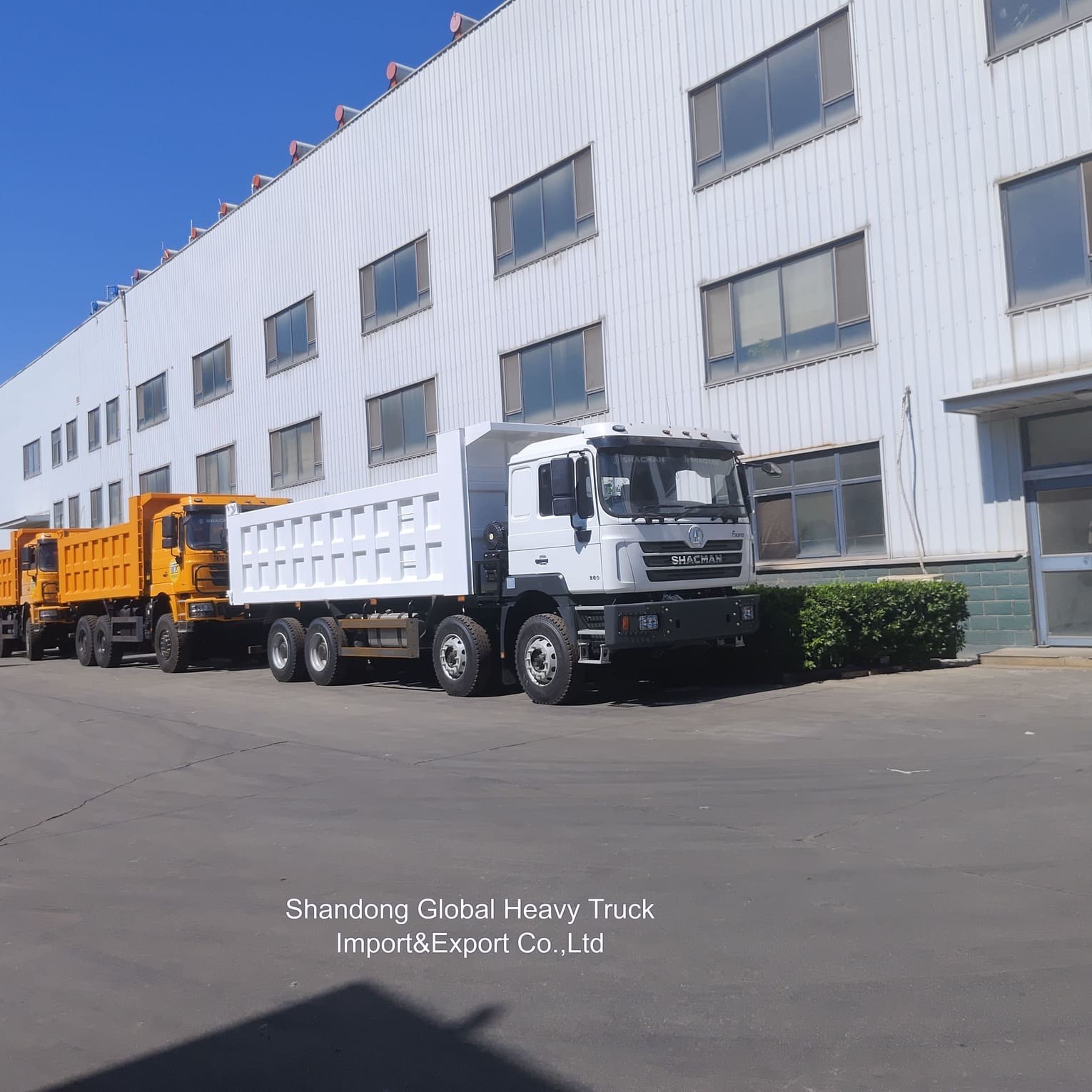 Shacman F3000 X3000 FAW Benze Fabriek Kipper Vrachtwagen Kiepwagens Vrachtwagens voor Goederenvervoer