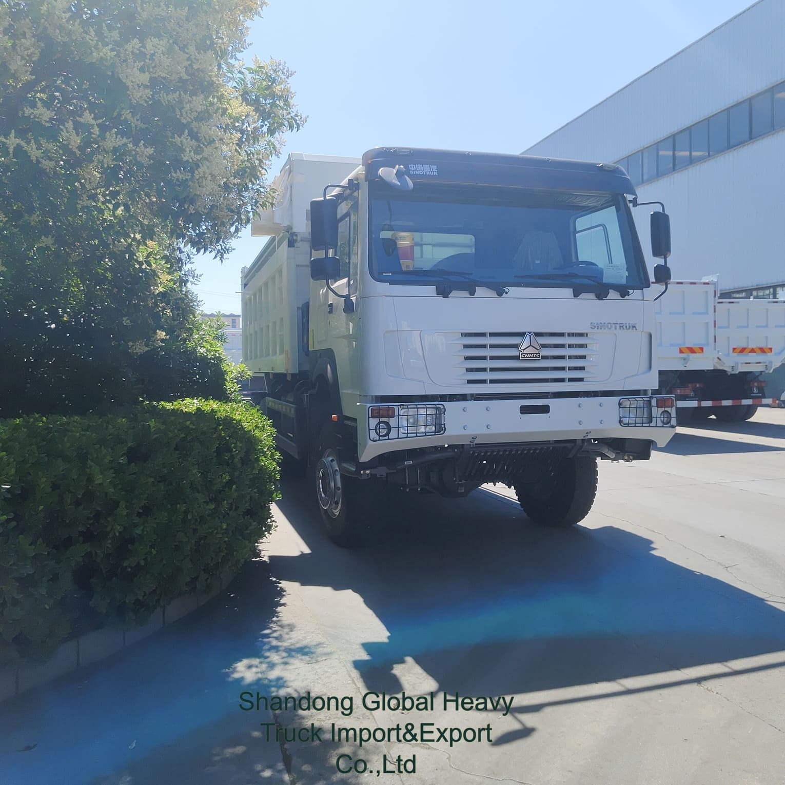 Sinotruk HOWO 6X4 371HP 380HP 8X4 400HP Dumper Tipper Tipping Diesel Sinotruck