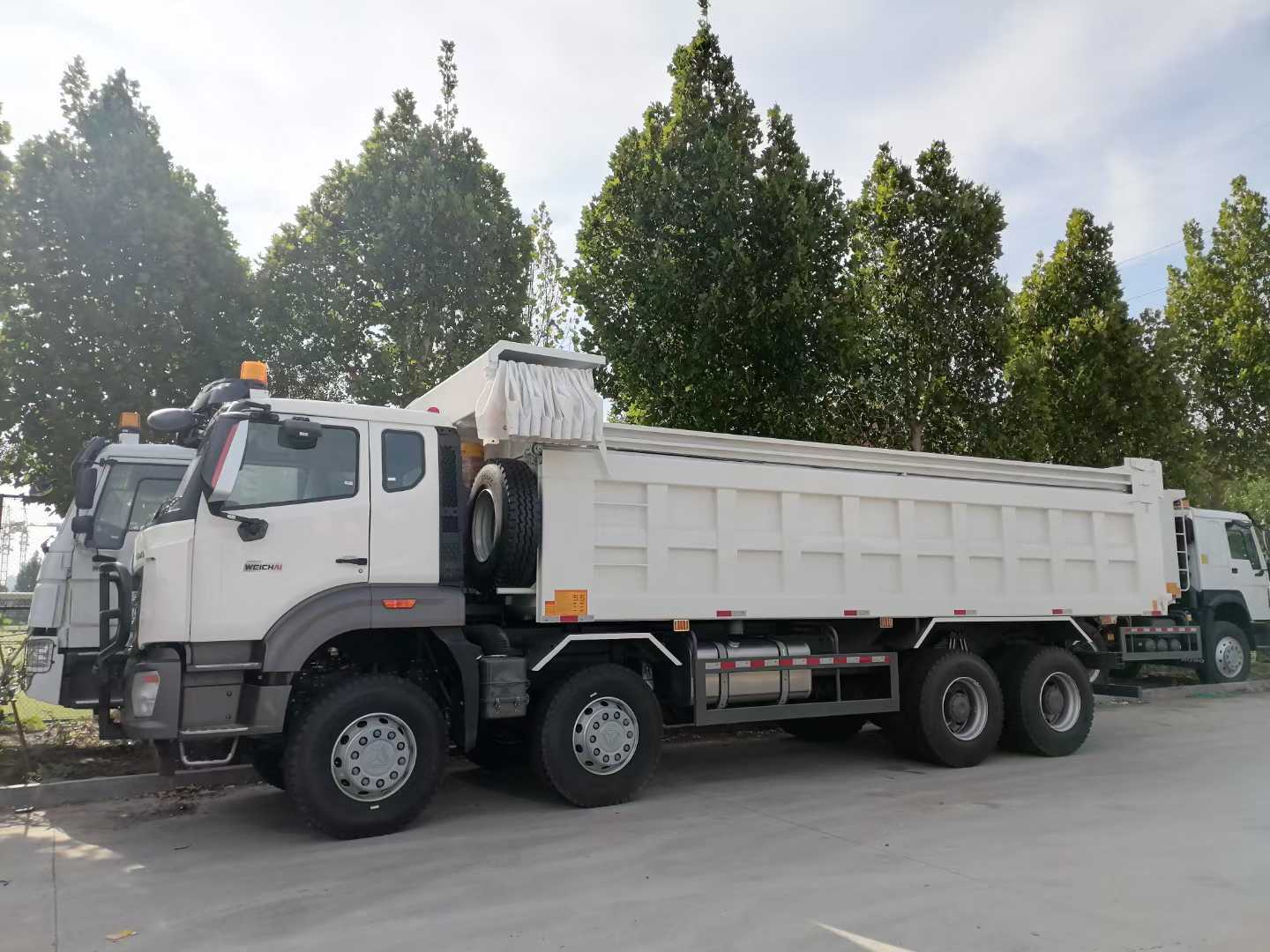 Sinotruk HOWO Nx Hohan 371PK 8x4 Aandrijving 40ton Capaciteit Zware Dump Truck